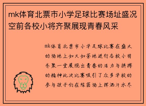 mk体育北票市小学足球比赛场址盛况空前各校小将齐聚展现青春风采
